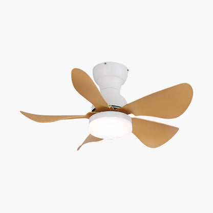 Small Arilia 29 Modern Metal Ceiling Fan Light