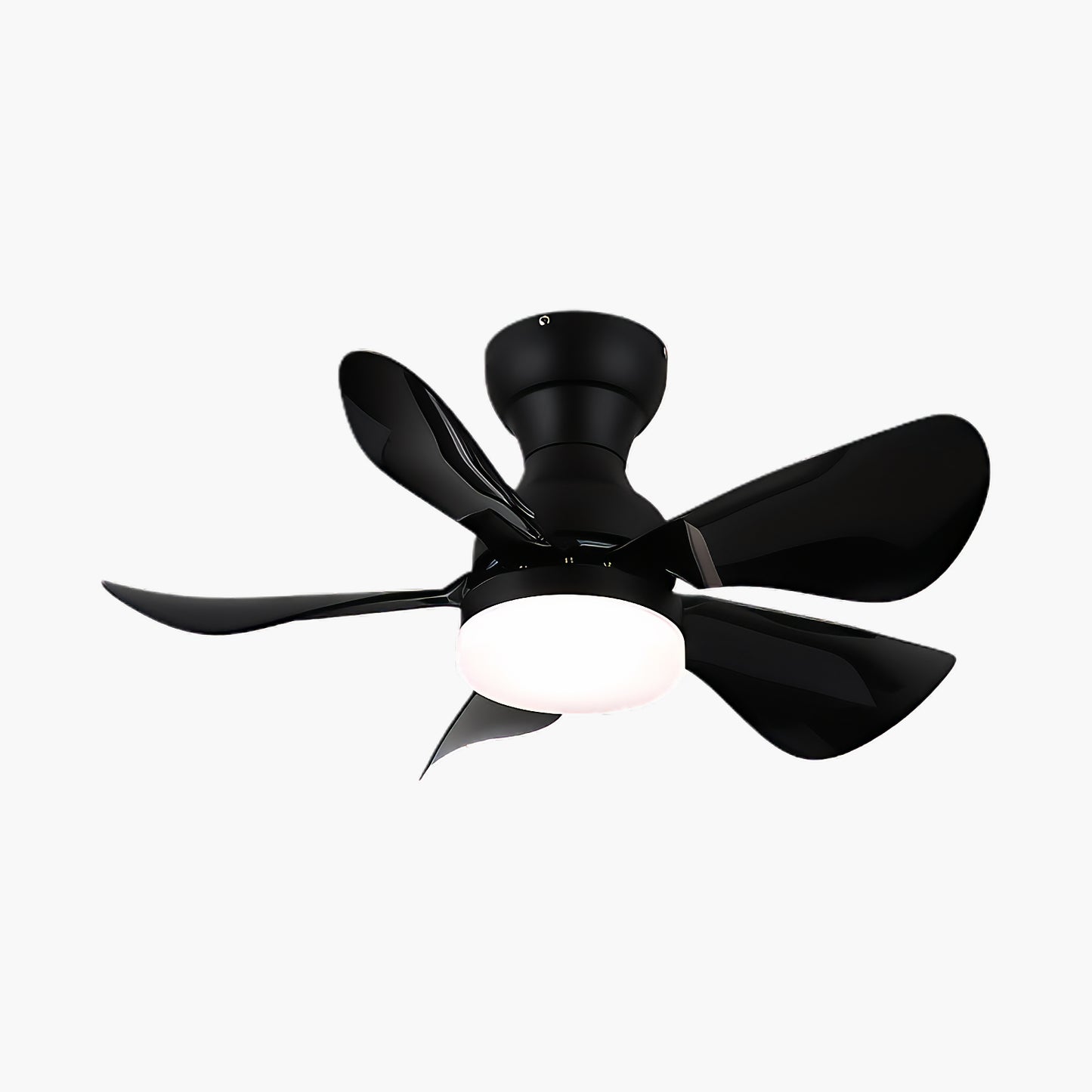 Small Arilia 29 Modern Metal Ceiling Fan Light