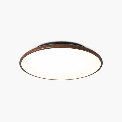 Thin Geometry Shape Modern Metal Ceiling Lamp