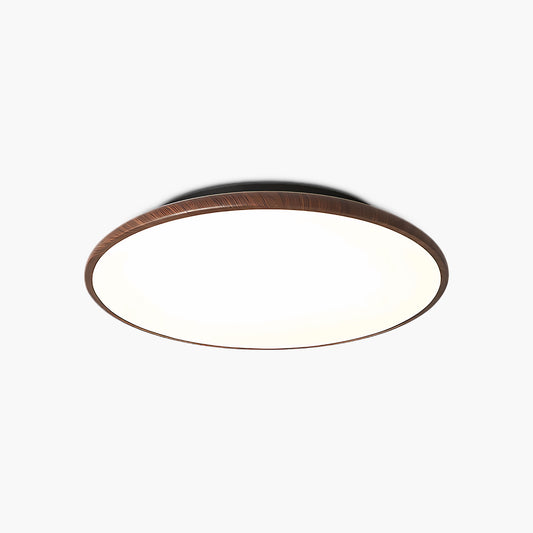 Thin Geometry Shape Modern Metal Ceiling Lamp