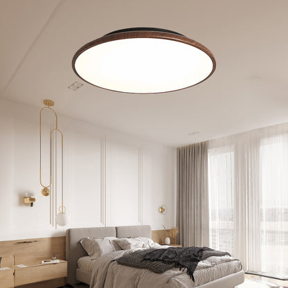 Thin Geometry Shape Modern Metal Ceiling Lamp