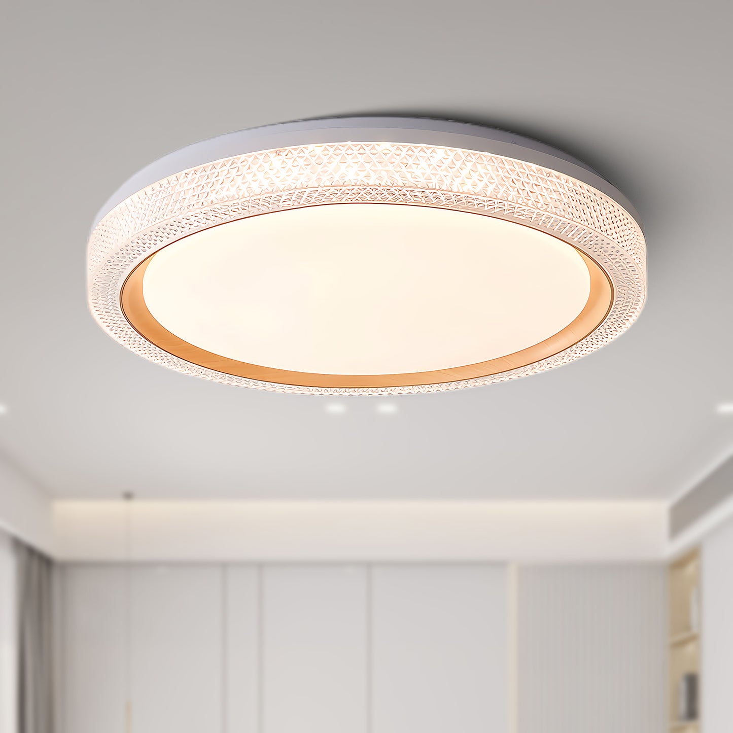 Thin Round Modern Metal Ceiling Lamp