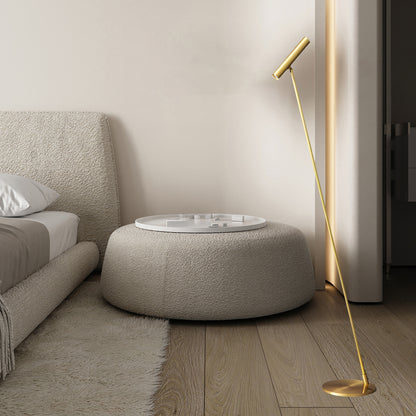 Tom LED Modern Brass Floor Lamp