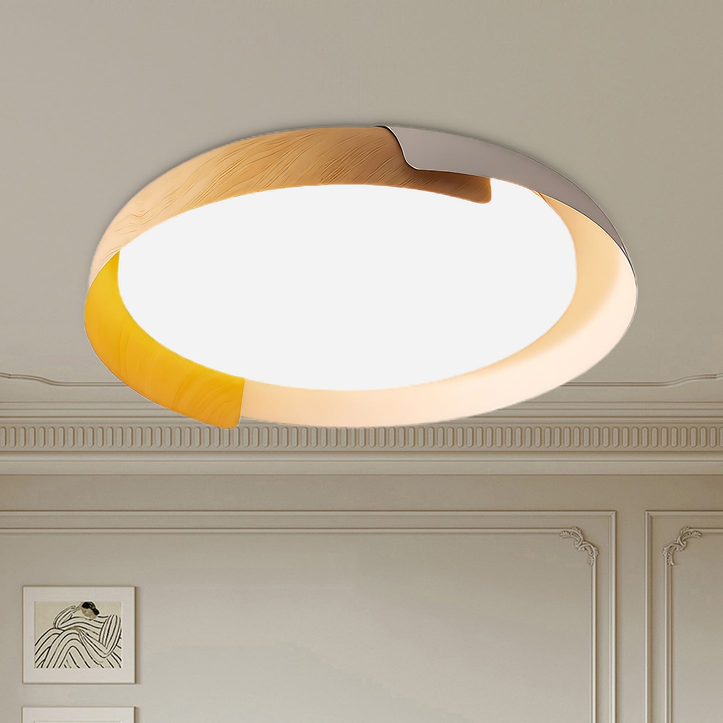 Vikaey Minimalist Metal Ceiling Light